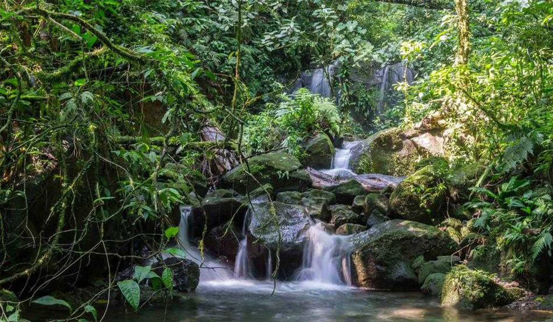 Les cascades cachées de l’Arenal