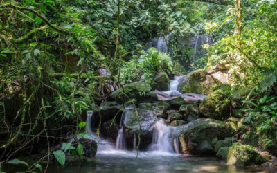 Arenal’s Hidden Waterfalls