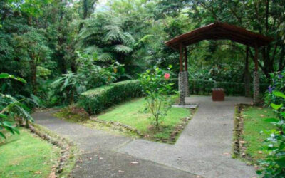 A hiking experience in Arenal Observatory Lodge & Trails