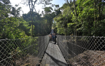 10 things you shouldn’t miss out at Arenal Observatory Lodge & Trails