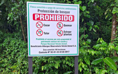 174 hectáreas protegidas: Nuestro compromiso con el medio ambiente