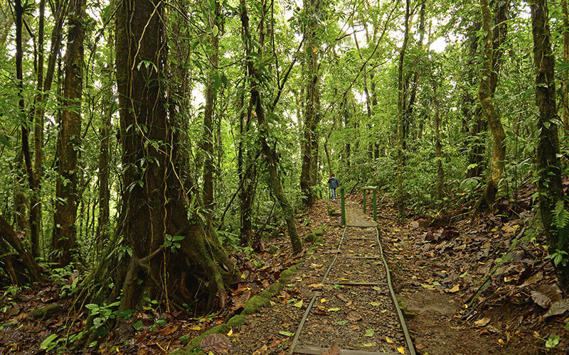 Despertar-Volcan-9