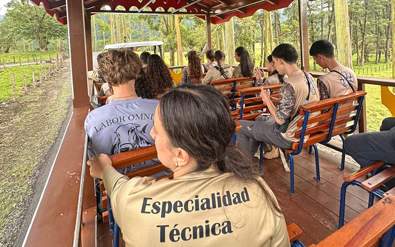 Despertar-Volcan-9